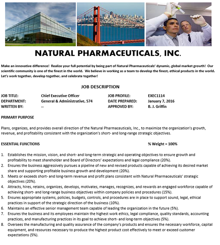 example job description