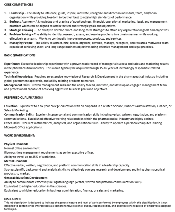 example job description