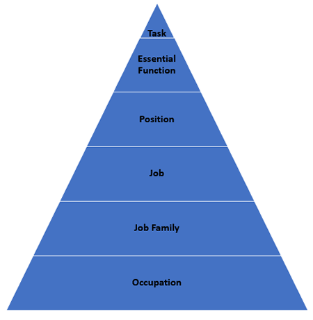 job analysis terminology pyramid