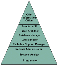 Job evaluation hierarchy pyramid.