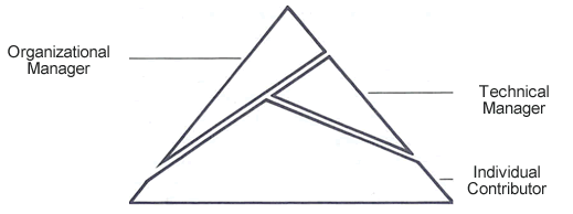 Figure 15-4. A dual career ladder